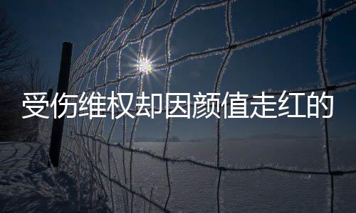 人没颜值应的小的走红张回维权却因号假受伤事